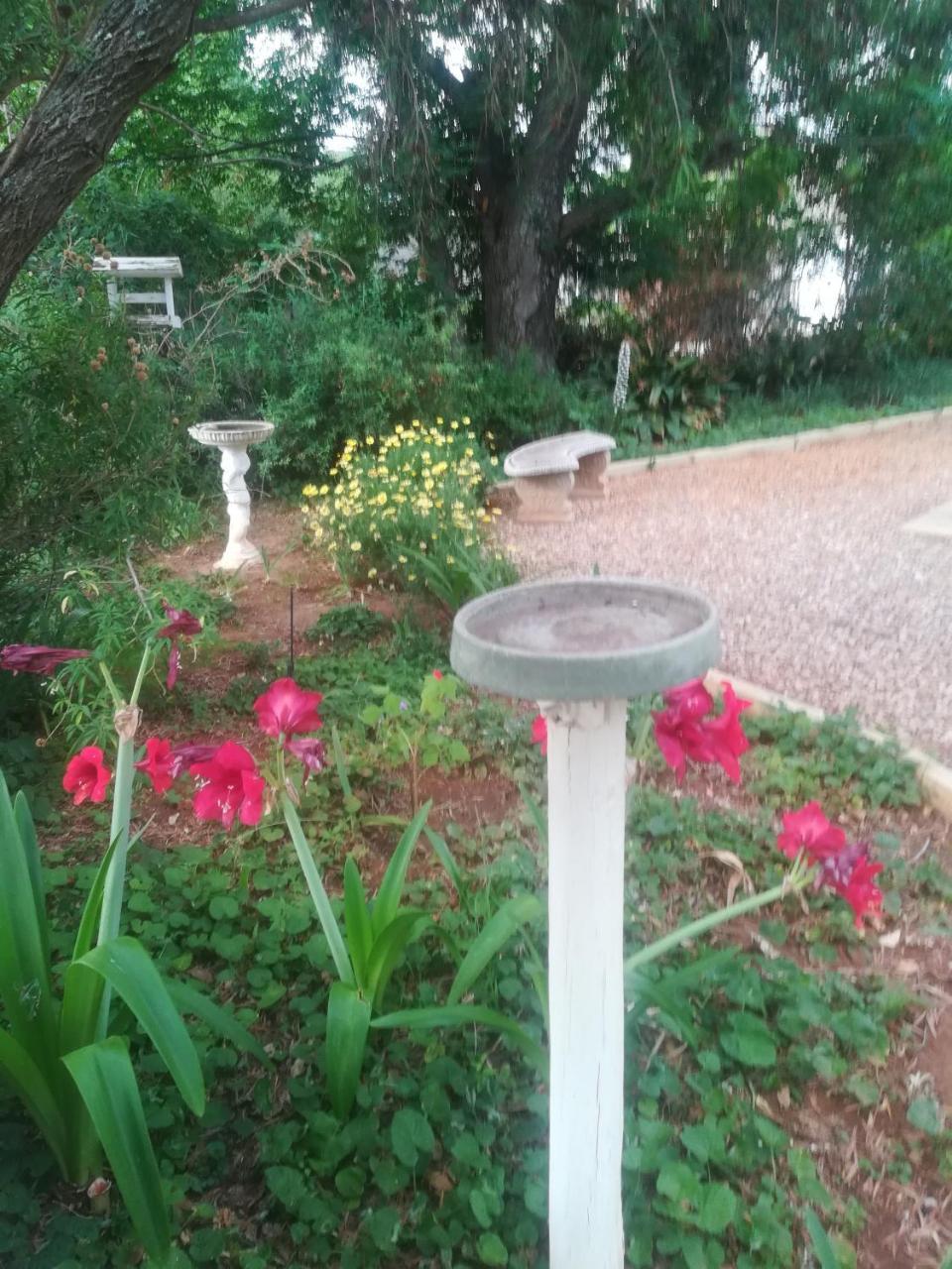 Mulberry Place Cradock Kültér fotó